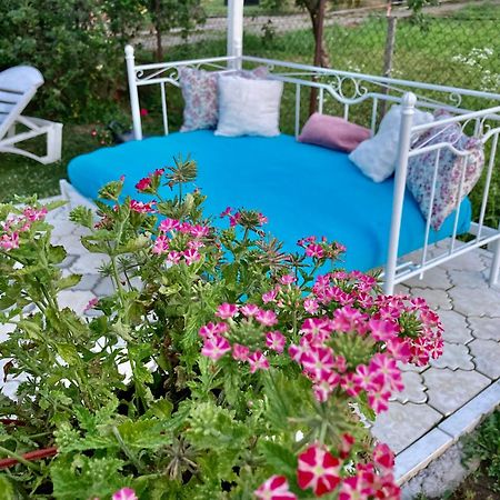 White House With Sauna And Jacuzzi Novi Sad Exteriör bild