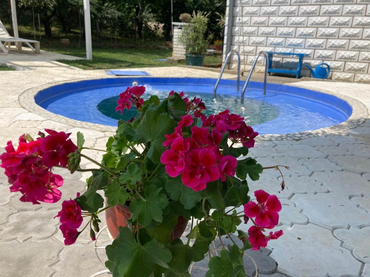 White House With Sauna And Jacuzzi Novi Sad Exteriör bild