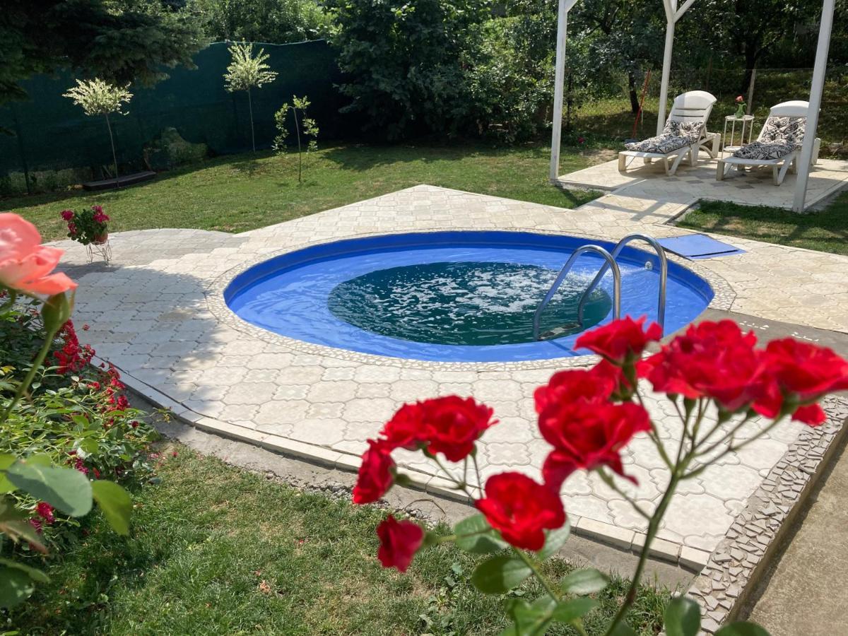 White House With Sauna And Jacuzzi Novi Sad Exteriör bild