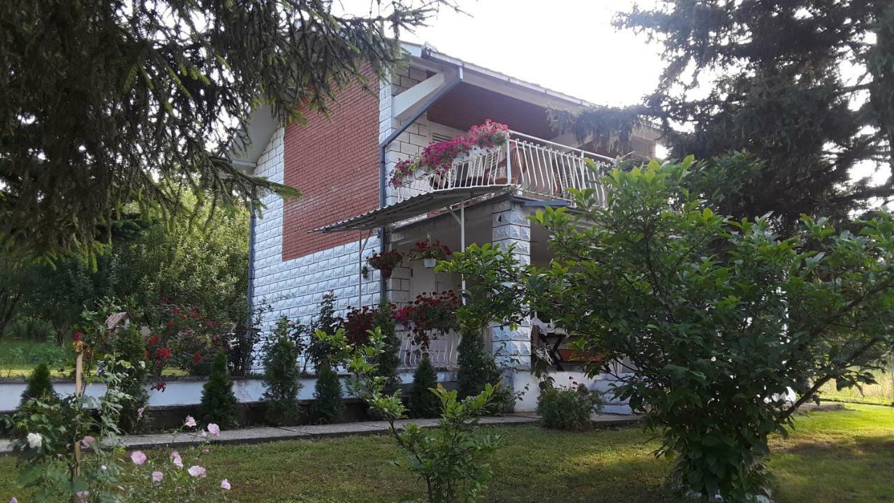 White House With Sauna And Jacuzzi Novi Sad Exteriör bild