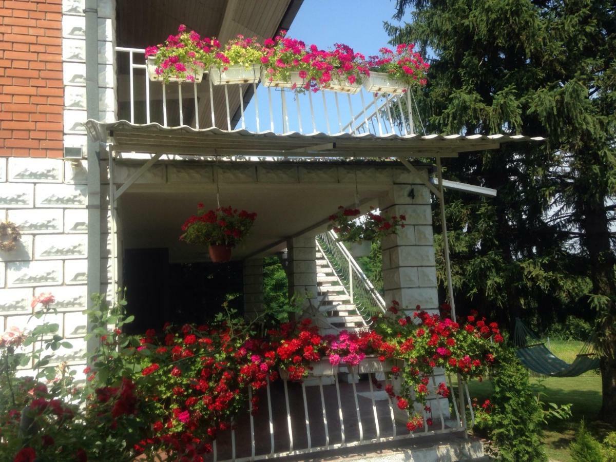 White House With Sauna And Jacuzzi Novi Sad Exteriör bild