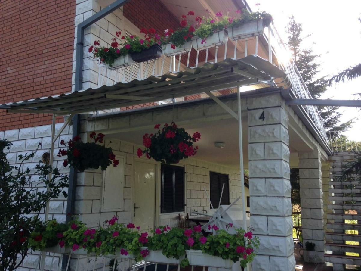 White House With Sauna And Jacuzzi Novi Sad Exteriör bild