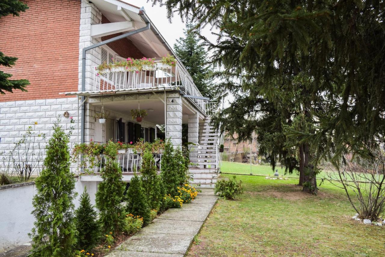 White House With Sauna And Jacuzzi Novi Sad Exteriör bild